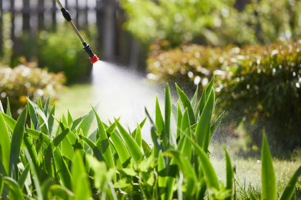 Void Injection for Cockroach Colonies in Cedar Glen Lakes