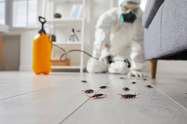 Commercial Kitchen Cockroach Control in Cedar Glen Lakes